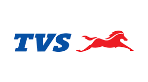 TVS HOLDINGS