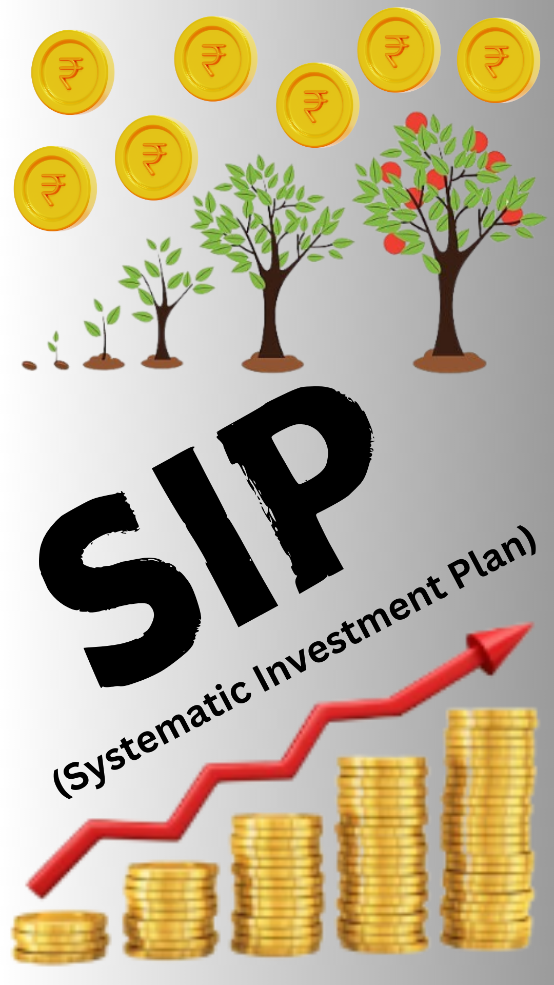 Systematic Investment Plan